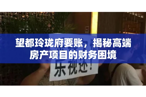 望都玲珑府要账，揭秘高端房产项目的财务困境