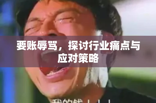 要账辱骂，探讨行业痛点与应对策略