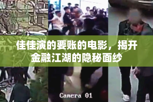 佳佳演的要账的电影，揭开金融江湖的隐秘面纱
