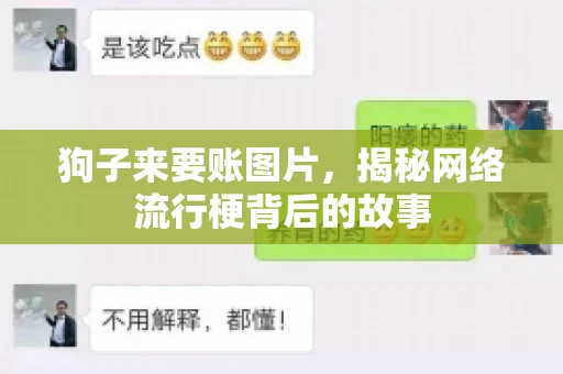 狗子来要账图片，揭秘网络流行梗背后的故事