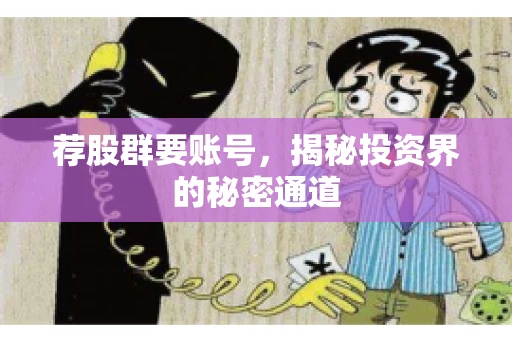 荐股群要账号，揭秘投资界的秘密通道