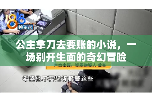 公主拿刀去要账的小说，一场别开生面的奇幻冒险