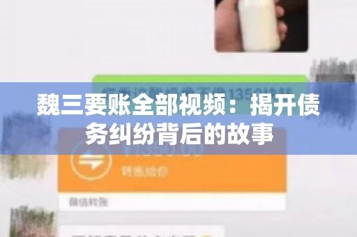 魏三要账全部视频：揭开债务纠纷背后的故事
