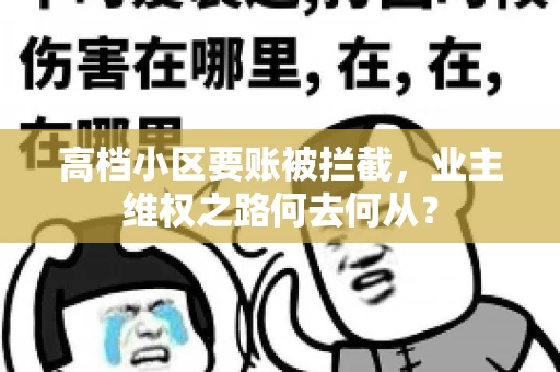 高档小区要账被拦截，业主维权之路何去何从？