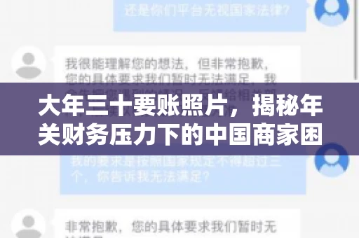 大年三十要账照片，揭秘年关财务压力下的中国商家困境