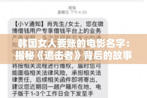 韩国女人要账的电影名字：揭秘《追击者》背后的故事