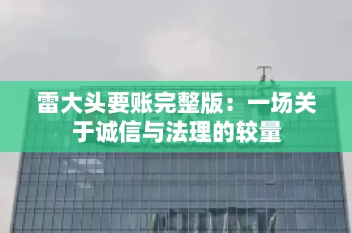 雷大头要账完整版：一场关于诚信与法理的较量