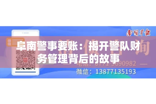 阜南警事要账：揭开警队财务管理背后的故事