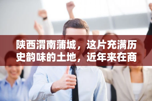 陕西渭南蒲城，这片充满历史韵味的土地，近年来在商业活动中也展现出了其独特的活力。其中，关于“陕西渭南蒲城要账”的话题，成为了不少企业关注的焦点。今天，我们就来聊聊这个话题，看看在蒲城，要账的那些事儿。
