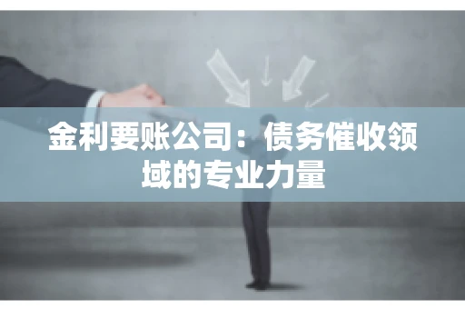 金利要账公司：债务催收领域的专业力量