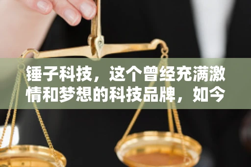 锤子科技，这个曾经充满激情和梦想的科技品牌，如今却陷入了要账的困境。今天，我们就来聊聊锤子科技要账的那些事儿。