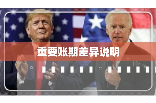 重要账期差异说明
