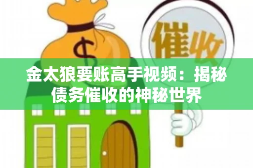 金太狼要账高手视频：揭秘债务催收的神秘世界