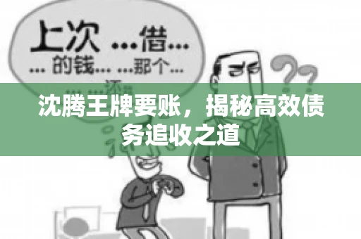 沈腾王牌要账,揭秘高效债务追收之道 沈腾王牌要账,揭秘高效债务追收之道