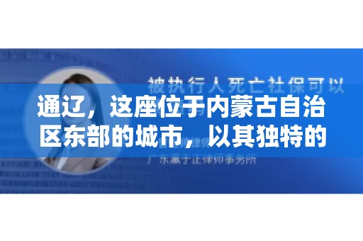 通辽，这座位于内蒙古自治区东部的城市，以其独特的地理位置和丰富的自然资源而闻名。然而，对于许多企业来说，通辽的另一个重要角色可能是其作为要账公司的聚集地。那么，通辽究竟有几家要账公司呢？今天，我们就来聊聊这个话题。