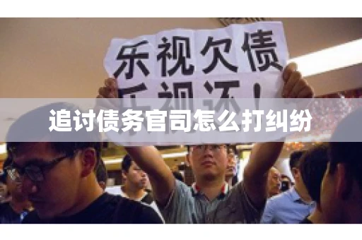 追讨债务官司怎么打纠纷
