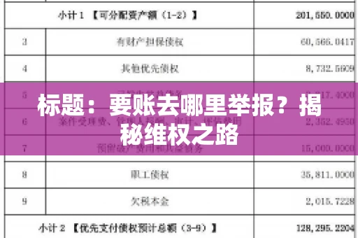 标题:要账去哪里举报?揭秘维权之路 标题:要账去哪里举报?揭秘维权之路