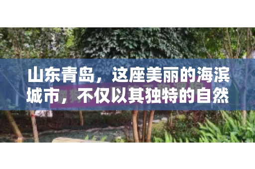 山东青岛，这座美丽的海滨城市，不仅以其独特的自然风光和丰富的历史文化著称，更是一个商业活动频繁、经济活力十足的地方。在这样一个充满机遇与挑战的城市，有一群人，他们专注于解决商业纠纷，帮助客户收回欠款，他们就是——山东青岛要账公司。
