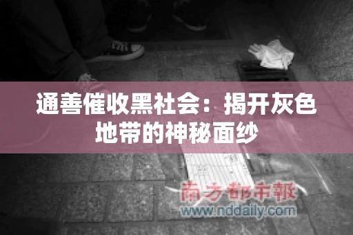 通善催收黑社会：揭开灰色地带的神秘面纱