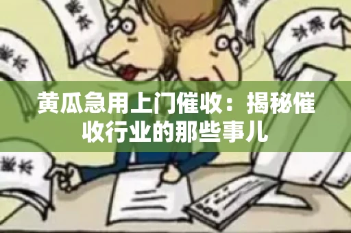 黄瓜急用上门催收：揭秘催收行业的那些事儿
