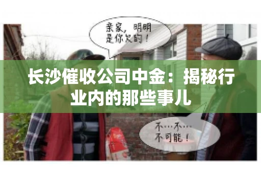 长沙催收公司中金：揭秘行业内的那些事儿