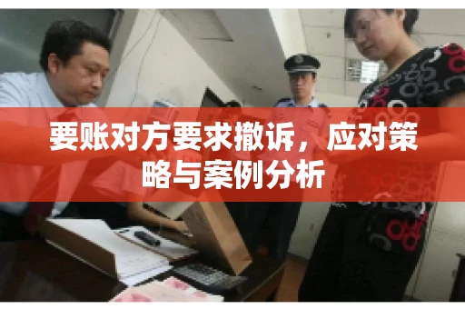 要账对方要求撤诉，应对策略与案例分析